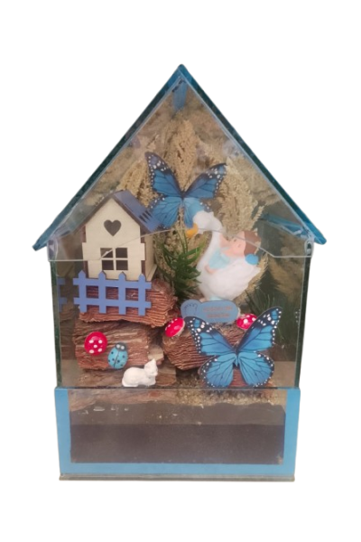 Cam İçinde Erkek Bebek Teraryum