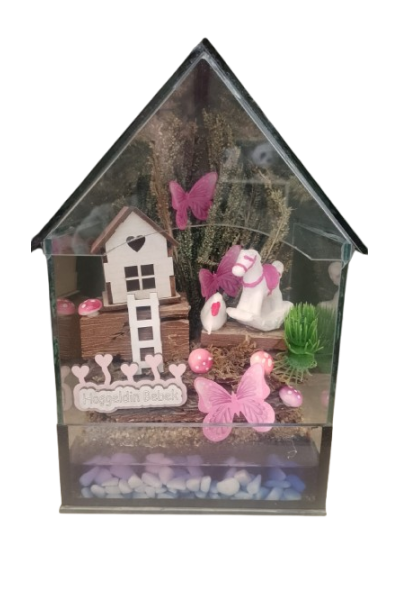 Cam İçinde Kız Bebek Teraryum