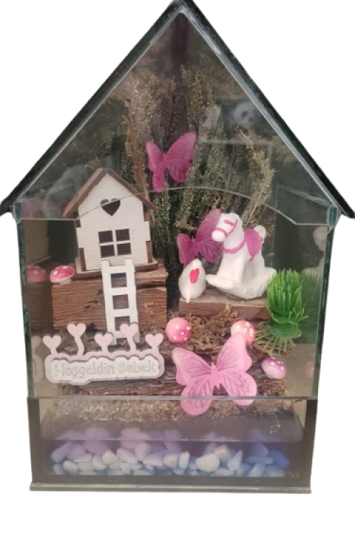 Cam İçinde Kız Bebek Teraryum